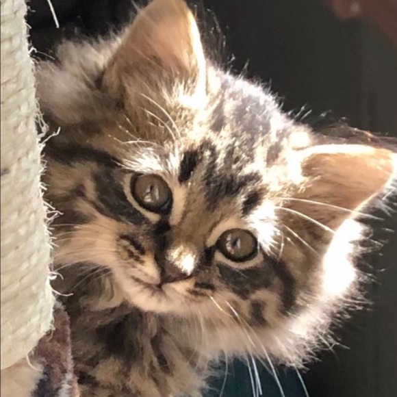 ♥️ - Picture 4 of 7